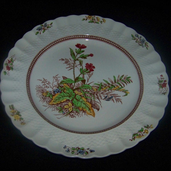 Vintage Copeland Spode Rosalie Chelsea Wicker Blue Red Yellow Flowers Salad Plate