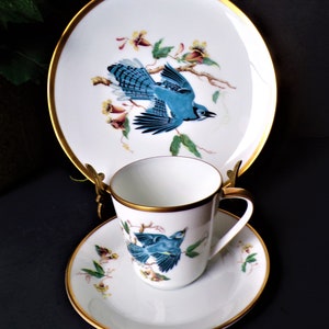 Vintage Audubon Blue Jay China Trio: Hutschenreuther Selb Teacup, Saucer, and Plate