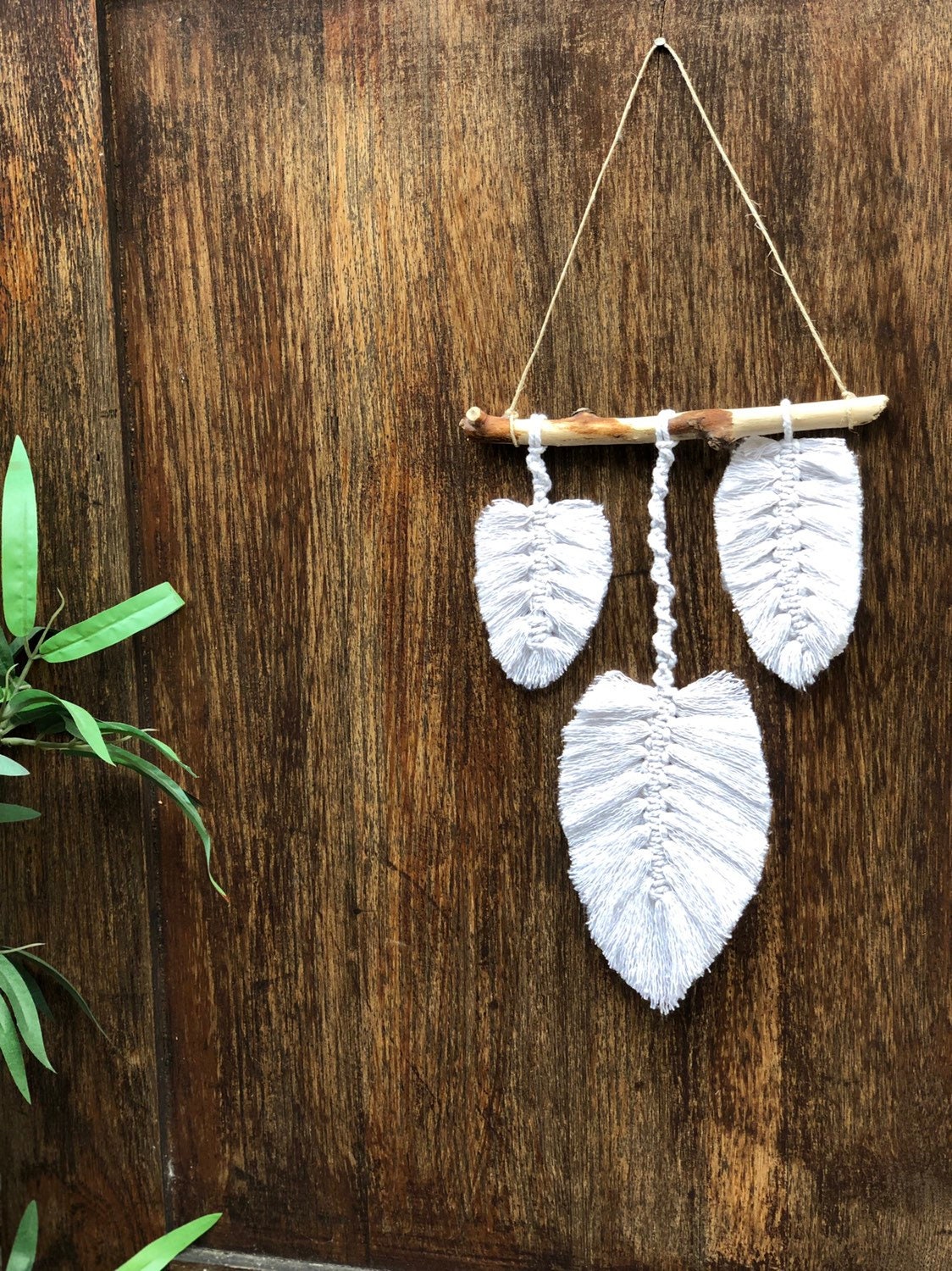 Déco Murale Plumes et Bois Flotter