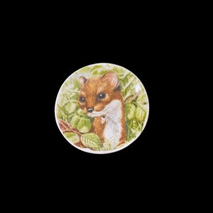 May include: A small, round decorative plate featuring a detailed illustration of a brown and white weasel peering out from green foliage. The plate has a white border and is set against a black background.