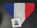 France Flag French Flag Bandana Euros World Cup Football  for dogs cats slide on collar handmade by BOW -Tiful by Kate 