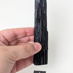 May include: A raw, black tourmaline crystal held against a white background. The crystal is a dark, opaque color with a rough, textured surface. A small, black and white card with the letter "A" is at the bottom.