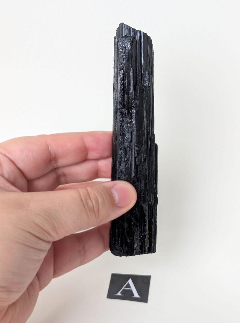 May include: A raw, black tourmaline crystal held against a white background. The crystal is a dark, opaque color with a rough, textured surface. A small, black and white card with the letter "A" is at the bottom.