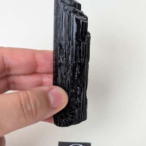 May include: A raw, black tourmaline crystal held against a white background. The crystal is a deep, glossy black with visible striations and a rough, textured surface. A small card with the letter "C" is at the bottom.