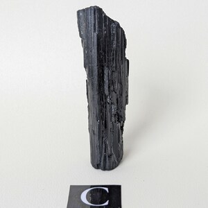 May include: A raw, black tourmaline crystal stands upright against a white background. The crystal has a rough, textured surface with vertical striations. A small black rectangle with the letter "C" in white is at the base of the crystal.