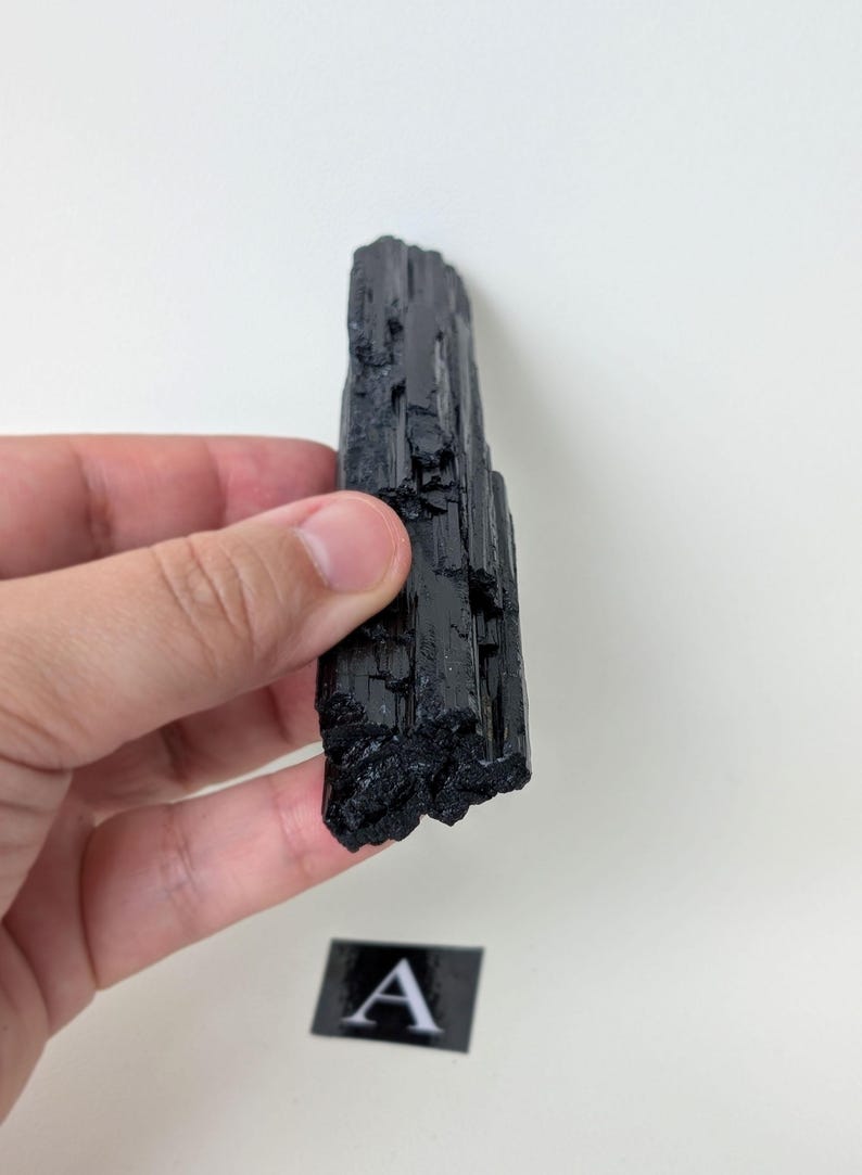 May include: A raw, black tourmaline crystal held against a white background. The crystal is a dark, opaque color with a rough, textured surface. A small label with the letter "A" is visible.