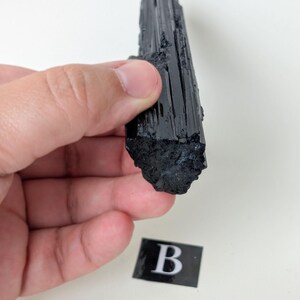 May include: A raw, black tourmaline crystal with a striated surface. The crystal is held in a hand against a white background. A small black and white label with the letter "B" is visible.