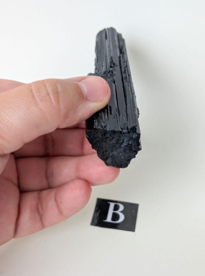 May include: A raw, black tourmaline crystal with a striated surface. The crystal is held in a hand against a white background. A small black and white label with the letter "B" is visible.