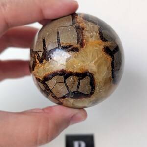 May include: A spherical gemstone with a cracked, web-like pattern in dark brown and tan hues. The polished surface reflects light, showcasing the natural variations in colour and texture. A small black square with the letter "B" is in the background.