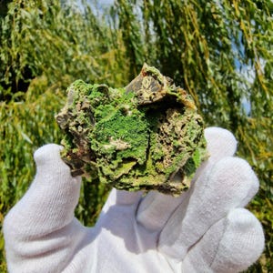 May include: A raw mineral specimen featuring a porous, jagged structure with vibrant green crystalline deposits covering the surface. The rock displays earthy brown and tan undertones beneath the bright green mineral growth, creating a textured appearance.