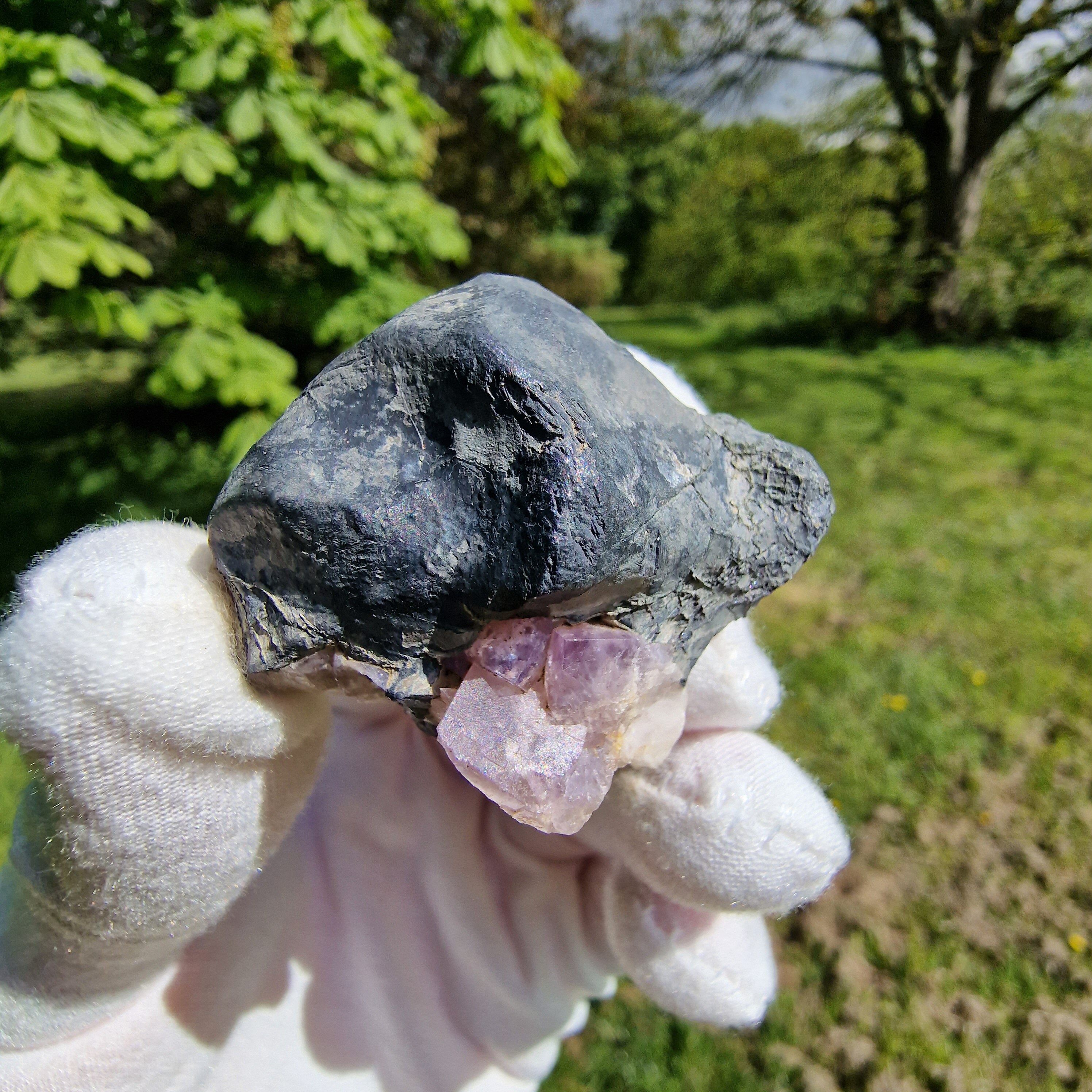 Fluorite on Galena - High Skears Mine - British Minerals - Fluorite - Minerals - Crystals