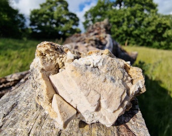 May include: A close-up of a rough, light brown and white rock with a crystalline texture. The rock is sitting on a weathered, brown log.