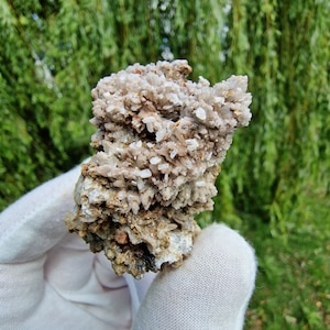 May include: A cluster of white and brown crystals on a rock. The crystals are arranged in a layered pattern, with some of the crystals appearing to be translucent. The rock is a light brown colour and has a rough texture.