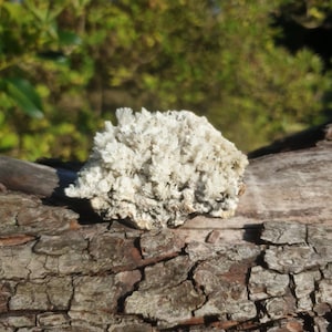 Baryte - Arkengarthdale - British minerals - Crystals - Minerals - Unique crystals - Rare minerals - Healing crystals
