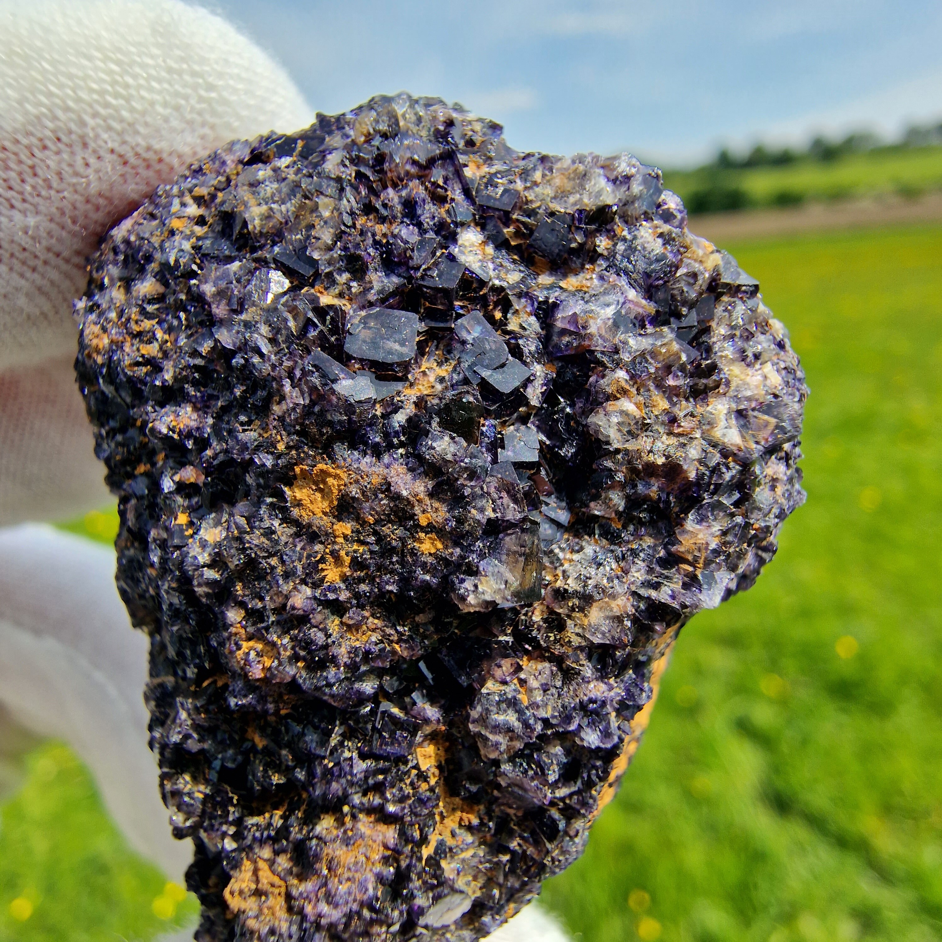 Sherry Twins Pocket - Etsy UK