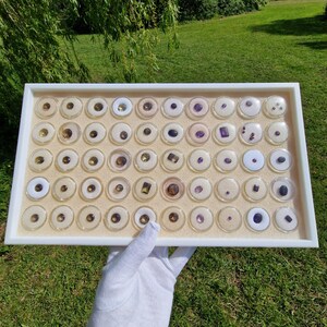 May include: A white tray filled with small, round, clear containers, each holding a gemstone. The gemstones vary in colour, including shades of brown, purple, and white. The tray is held by a gloved hand against a backdrop of green grass.