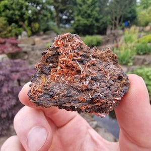 Crocoite - Red Lead Mine - Crocoite mineral - Australia Minerals -  Minerals - Rare minerals - Healing crystals - crystals