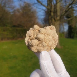 Cockscomb Baryte after Calcite - Chipping Sodbury Quarry - British minerals - Crystals - Minerals - Unique crystals - Rare minerals