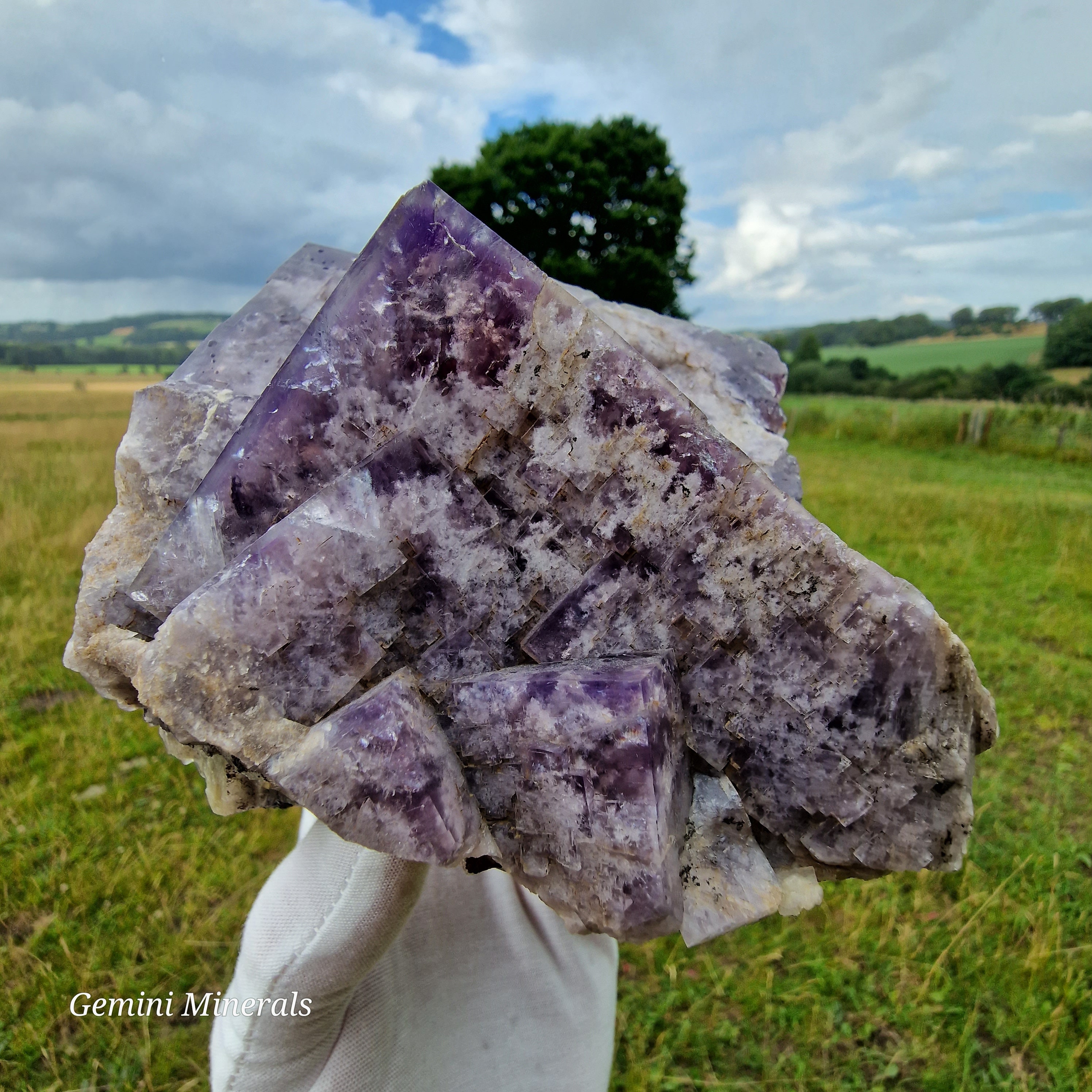 Greenlaws Fluorite - Etsy