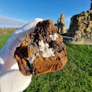 May include: A rough, rust-colored rock with patches of white and dark brown minerals. The rock is held in a white glove, with a grassy field and stone ruins in the background. The rock's texture is coarse and uneven.