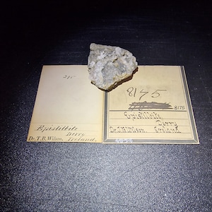 May include: A light grey, rough-textured mineral specimen labelled "Epistilbite" with the number "8175". The specimen sits on a vintage card with handwritten details, including "Derry, Ireland" and the name "Dr. T.B. Wilson."