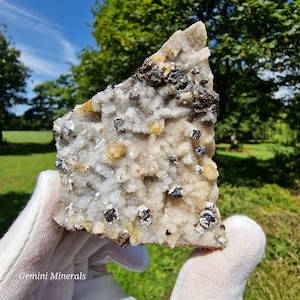 May include: A close-up of a white, gray, and brown mineral specimen with small, black crystals. The specimen is being held in a gloved hand. Gemini Minerals is printed on the bottom of the image.