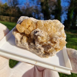 May include: A natural mineral specimen with clusters of small, golden-yellow crystals on an off-white rock matrix. The crystals have a sparkling, translucent appearance. The specimen is held in a white tray, with a blurred outdoor background.
