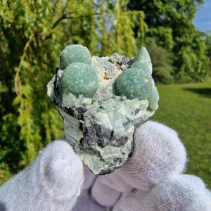 Puede incluir: Un espécimen mineral que presenta varias formaciones cristalinas redondeadas, de color verde claro y translúcidas, agrupadas sobre una matriz texturizada. La base consiste en depósitos minerales de color gris oscuro a negro mezclados con estructuras cristalinas pálidas en abanico.