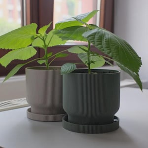 Stylish  Planter Pot with Drip Tray - 3D Print File (STL) - Perfect for Home or Office