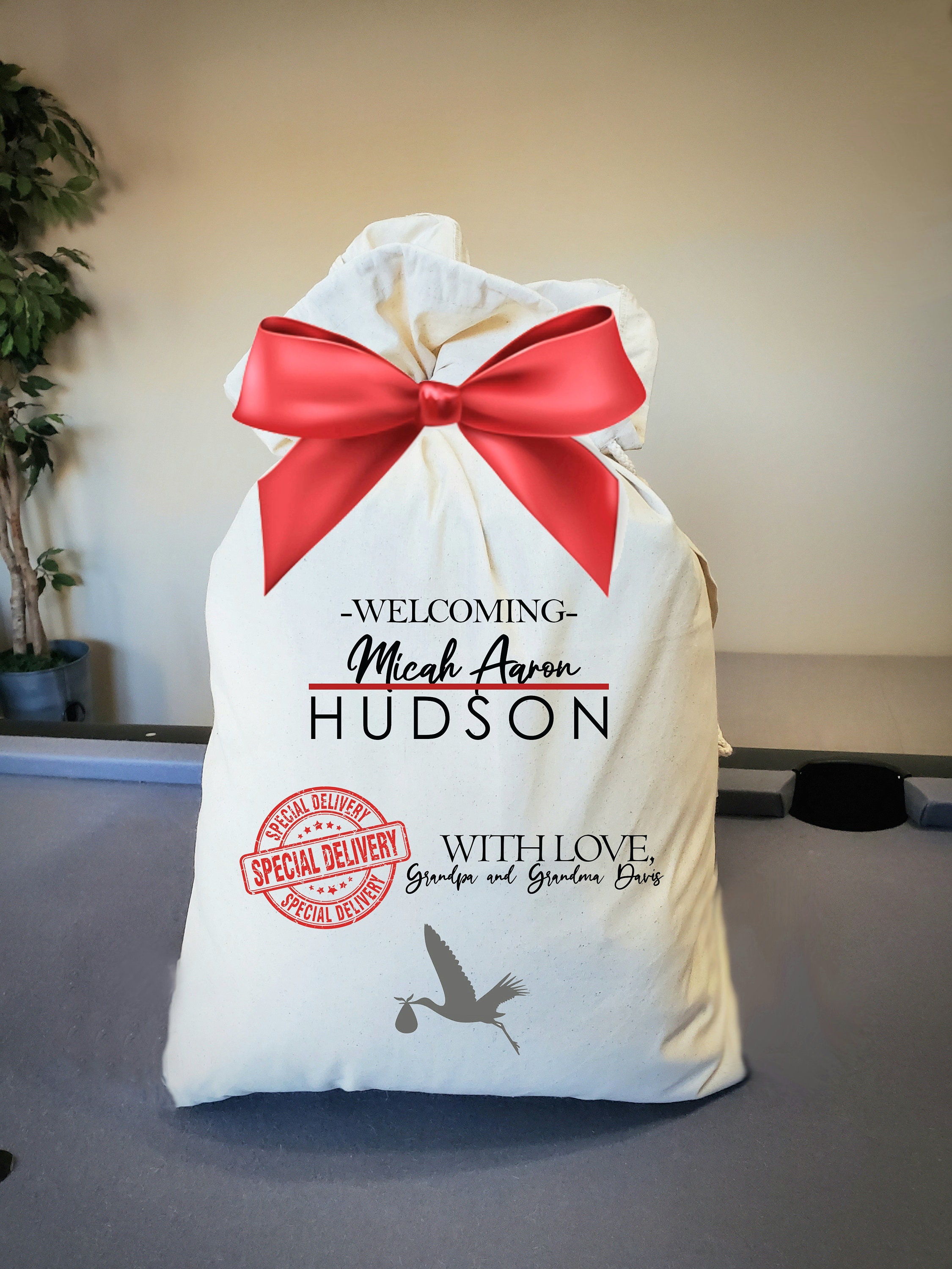Newborn Giant Canvas Gift Bag baby shower gift bag Baby Gift bag Gift