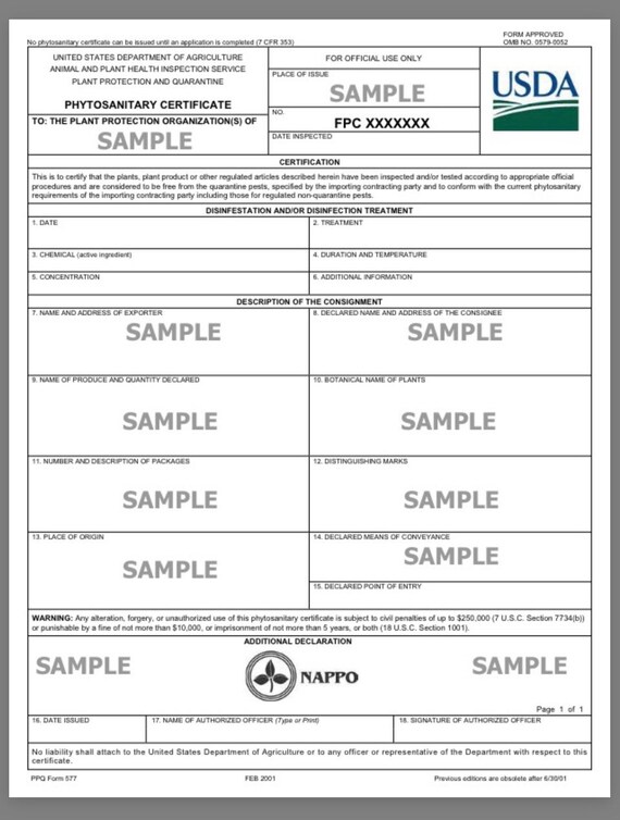 Phytosanitary Certificate  Etsy