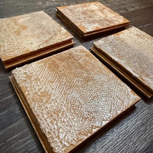 Ball Python Snake Shed Coasters: Cork Bottom, 4x4 Wooden Coasters