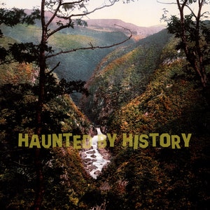 May include: A vintage postcard depicting a waterfall cascading down a steep, wooded ravine. The text "HAUNTED BY HISTORY" is superimposed over the image. The caption at the bottom reads "10599. ABERYSTWITH RHEIDOL FALLS FROM DEVILS BRIDGE."