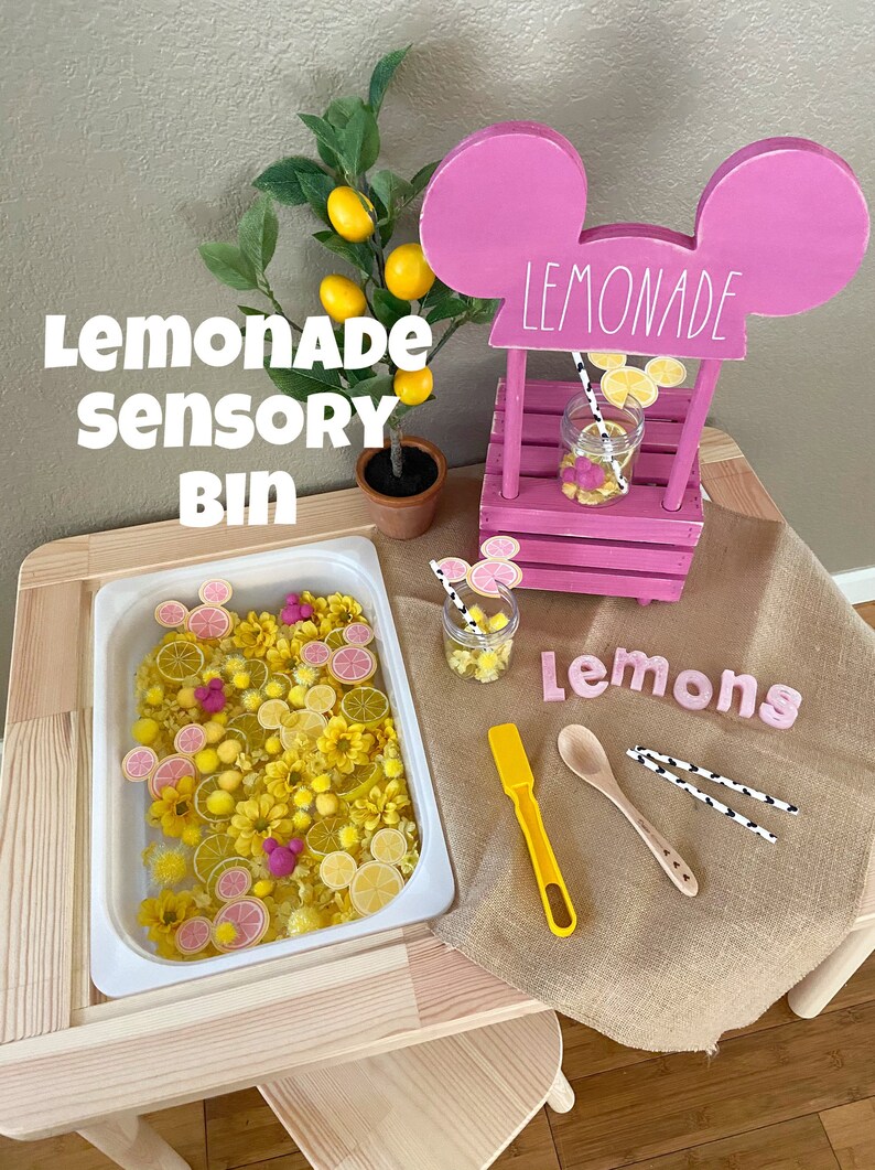 Lemonade Stand Learning Activities DIGITAL DOWNLOAD Etsy