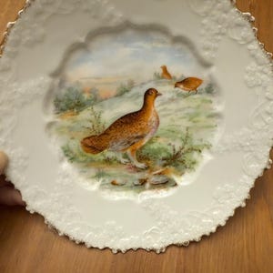 Antique Porcelain Bird Plate Numbered
