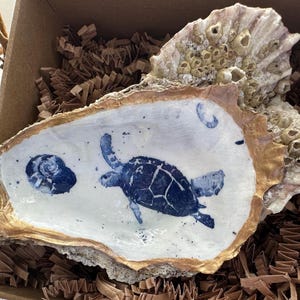 Oyster Shell Trinket Dish/Double-Sided Display