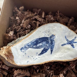 Oyster Shell Trinket Dish/Double-Sided Display