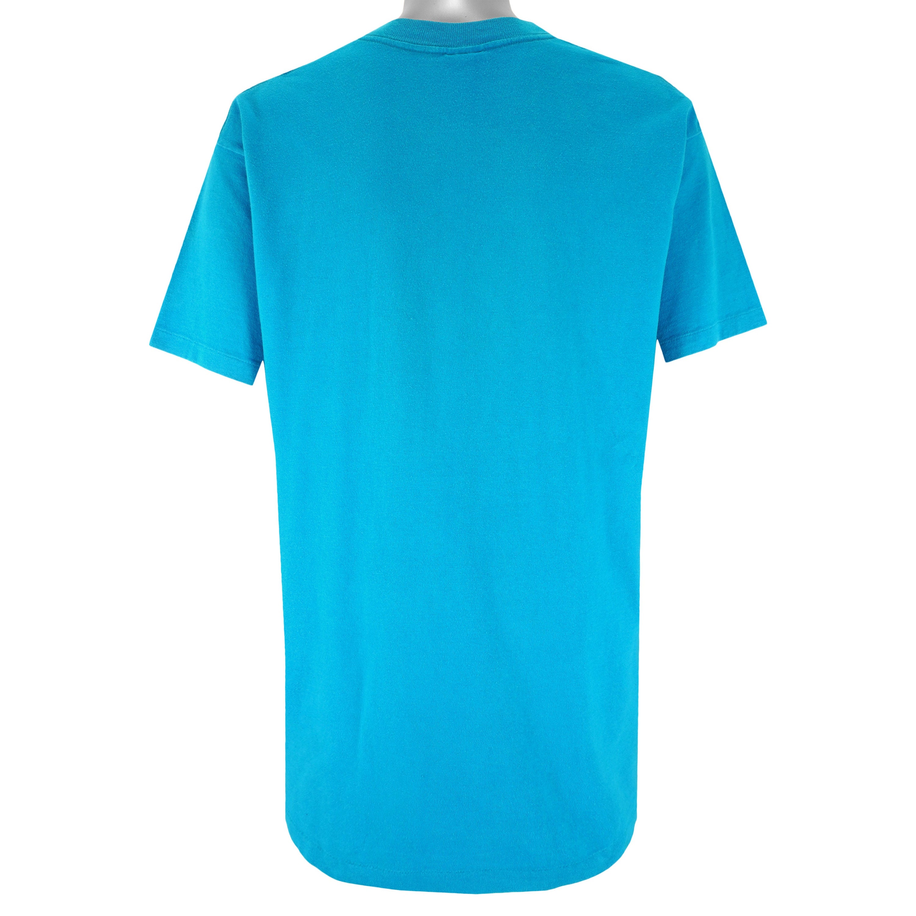 NBA (Artex) - シャーロット・ホーネッツ Tシャツ 1990年代 XLサイズ