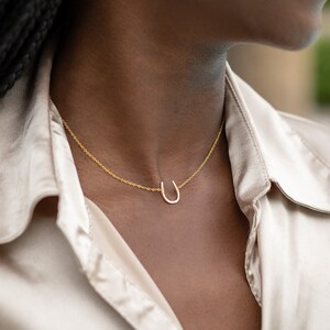 Puede incluir: Un collar de cadena de oro con un colgante de herradura. El collar lo lleva una persona con el pelo oscuro y una camisa marr&oacute;n claro.