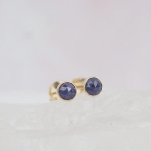 May include: A pair of stud earrings featuring round, faceted dark blue sapphire stones set in polished gold bezels. The stones have a geometric, rose-cut surface texture that reflects light, and the earrings are secured with gold post backings.