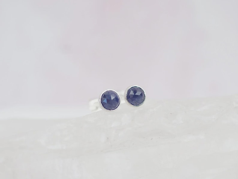May include: A pair of stud earrings featuring round, faceted, deep blue stones set in polished silver bezels. The stones have a textured, geometric surface that catches the light, and the silver settings provide a clean, metallic border around each circular gemstone.