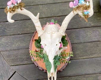 Puede incluir: Un cráneo de ciervo blanco con cuernos decorados con setas rosas y azules, follaje verde y flores rosas sobre una base de madera.