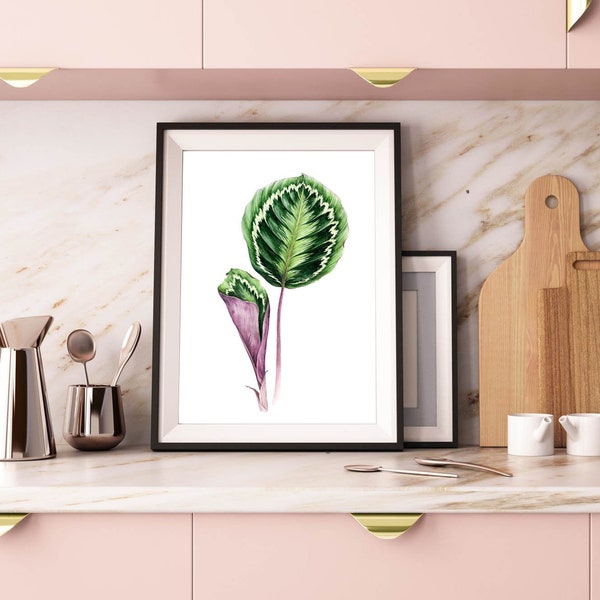 Calathea Medallion-Peacock Leaf Watercolor Art Print. Tropische Regenwaldanlage. Botanische Malerei Wanddekoration. Große Kalenmauer.