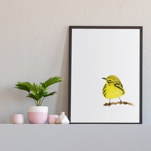 Impresión de arte acuarela de la curruca de la pradera. Alta calidad. Hermoso cartel de ilustración de pájaro amarillo. Arte de la serie Birdy. Decoración del hogar de animales salvajes.