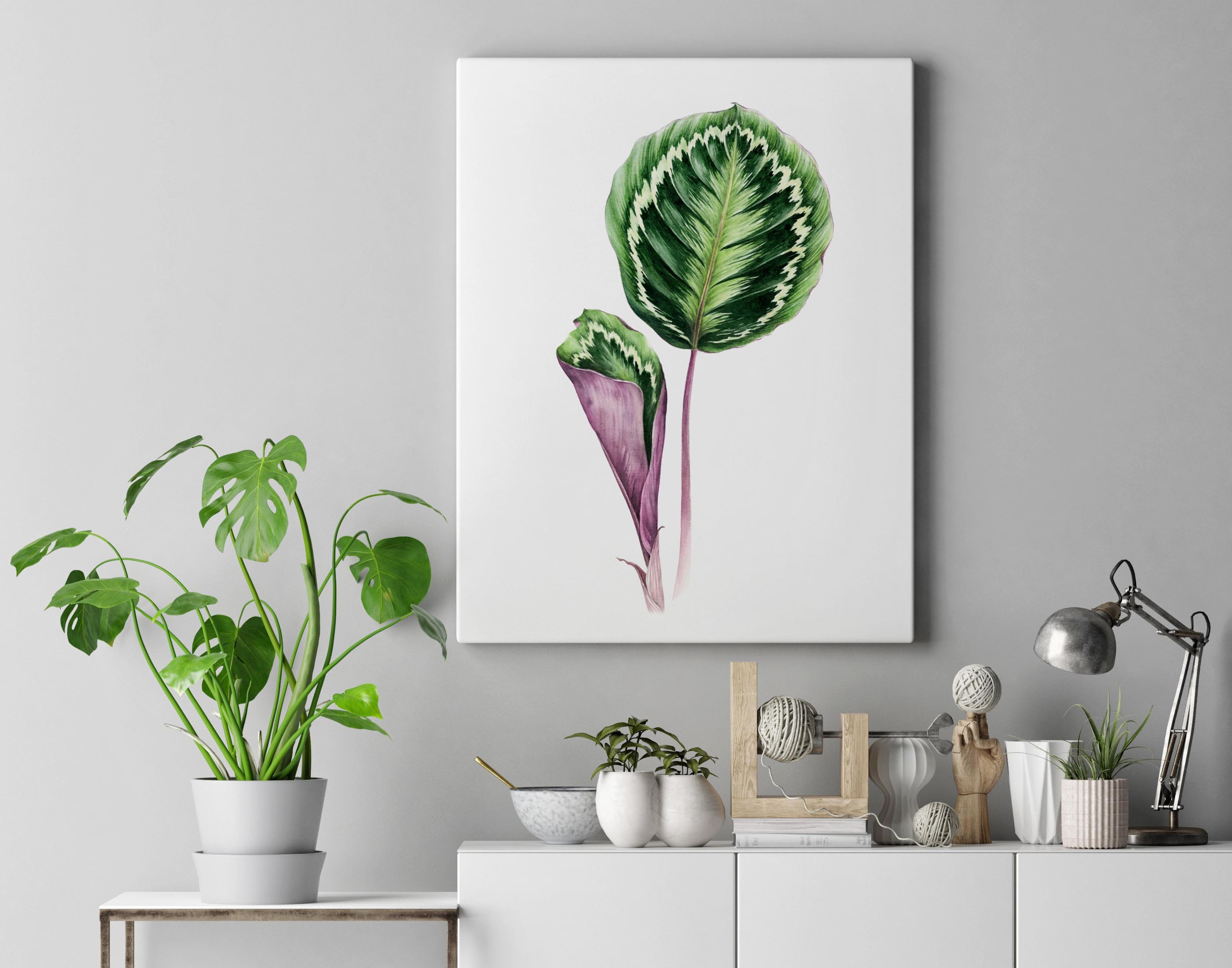 Calathea Medallion Peacock Leaf Watercolor Art Print. - Etsy