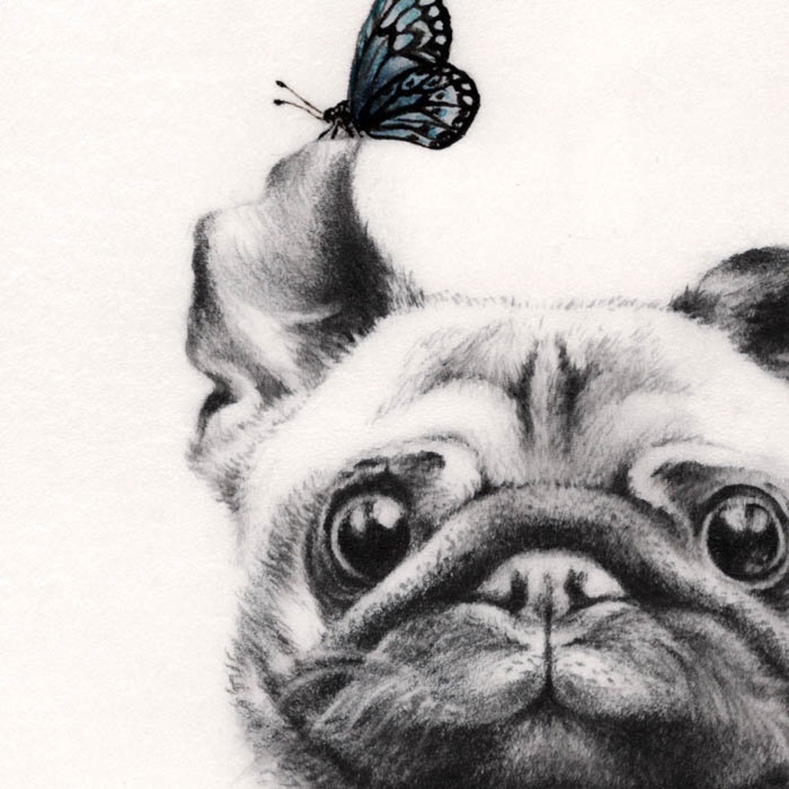 Baby Bulldog Art Print. Nursery Art. Wall Decor. Puppy - Etsy