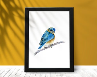 Eastern Bluebird Aquarelle Art Print. Édition limitée Bird Illustration Wall Art. Décor maison minimaliste.