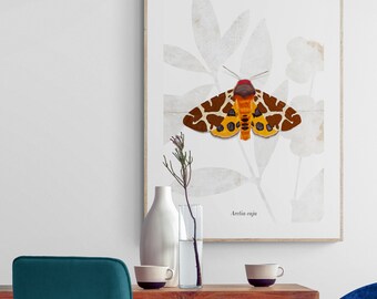 Poster - brown bear, poster, A2, decoration, wall design, wall pictures, wall decoration, animals, nature