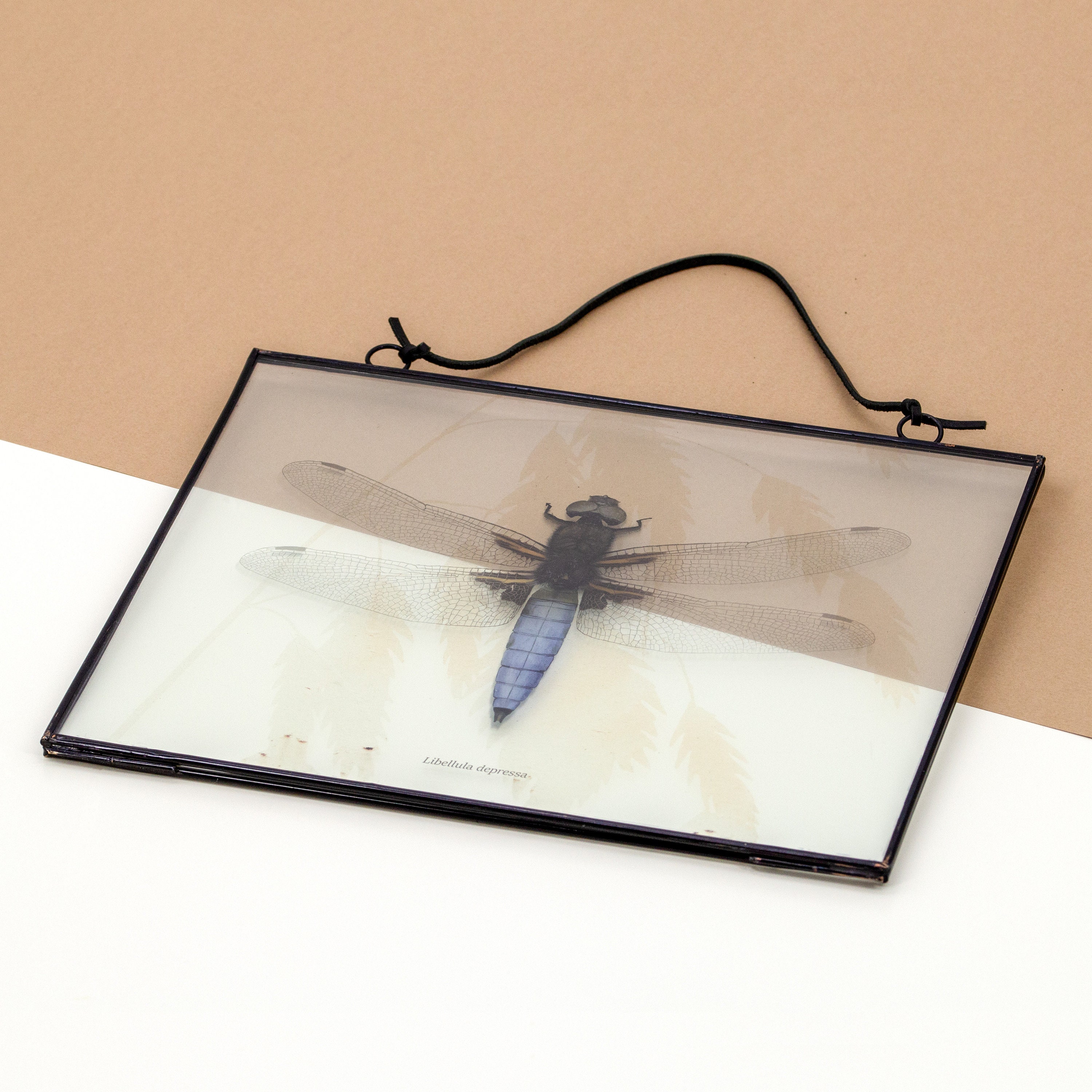 Double Glass Picture Frame Dragonfly Vintage Photo Frame Etsy
