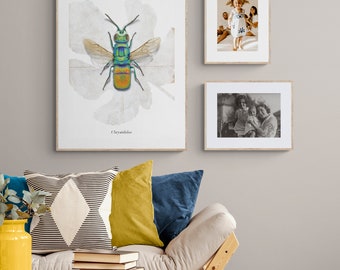 Poster - Gold Wasp, poster, A2, decoration, wall design, wall pictures, wall decor, animals, nature